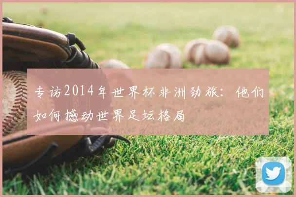 专访2014年世界杯非洲劲旅：他们如何撼动世界足坛格局