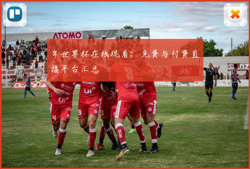 年世界杯在线观看：免费与付费直播平台汇总