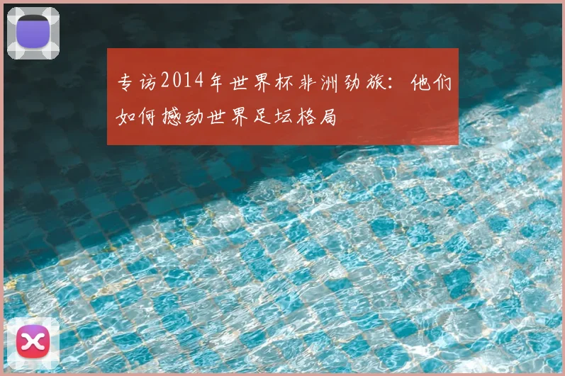专访2014年世界杯非洲劲旅：他们如何撼动世界足坛格局