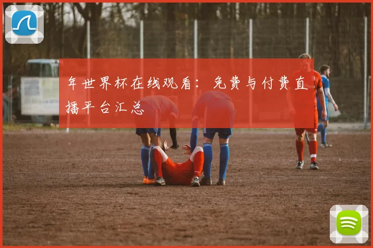 年世界杯在线观看：免费与付费直播平台汇总