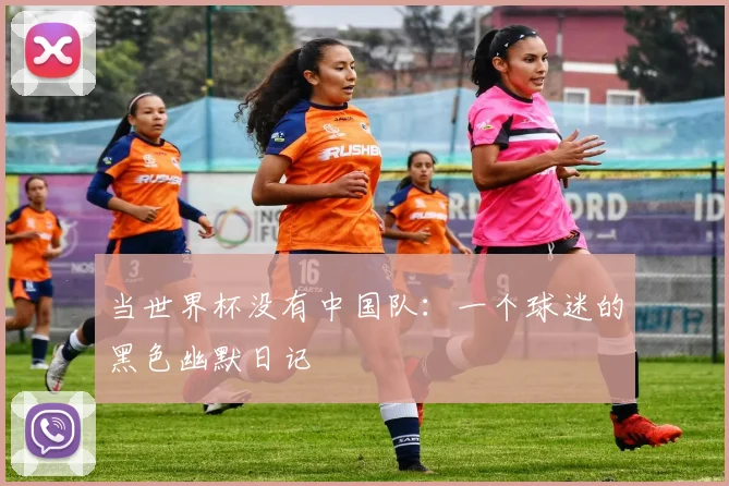 当世界杯没有中国队：一个球迷的黑色幽默日记