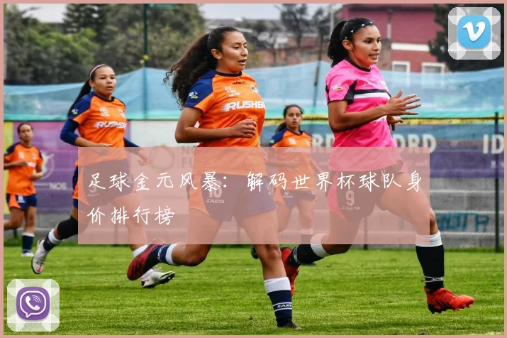 足球金元风暴：解码世界杯球队身价排行榜