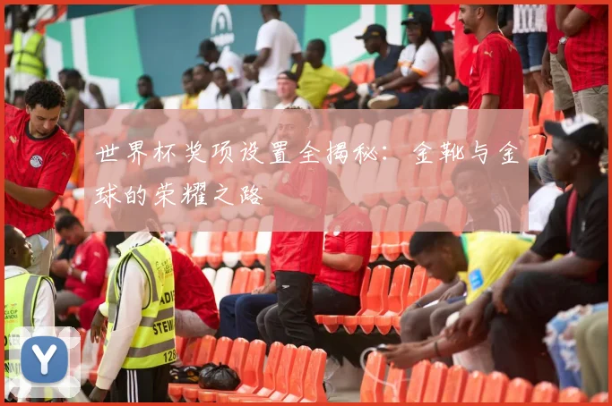 世界杯奖项设置全揭秘:金靴与金球的荣耀之路