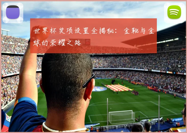 世界杯奖项设置全揭秘:金靴与金球的荣耀之路