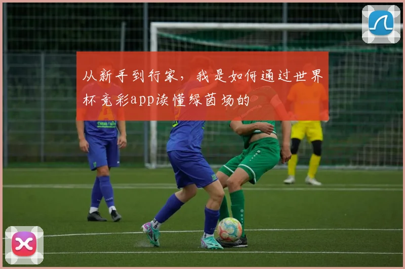 从新手到行家，我是如何通过世界杯竞彩app读懂绿茵场的