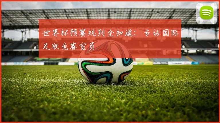世界杯预赛规则全知道：专访国际足联竞赛官员