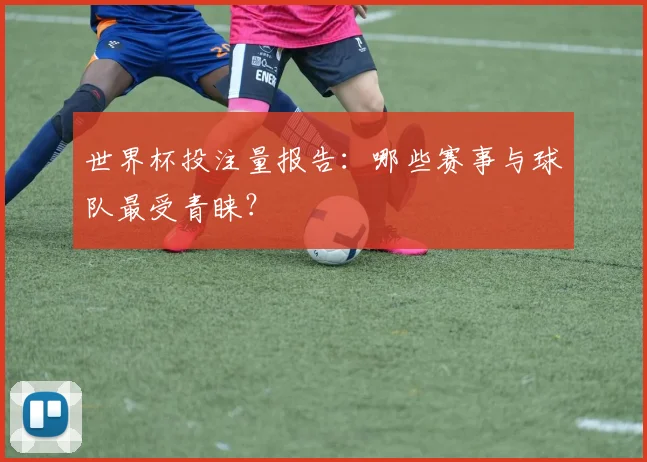 世界杯投注量报告：哪些赛事与球队最受青睐？