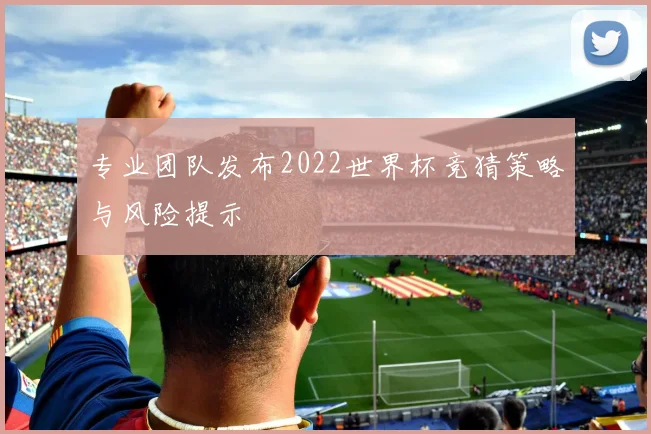 专业团队发布2022世界杯竞猜策略与风险提示