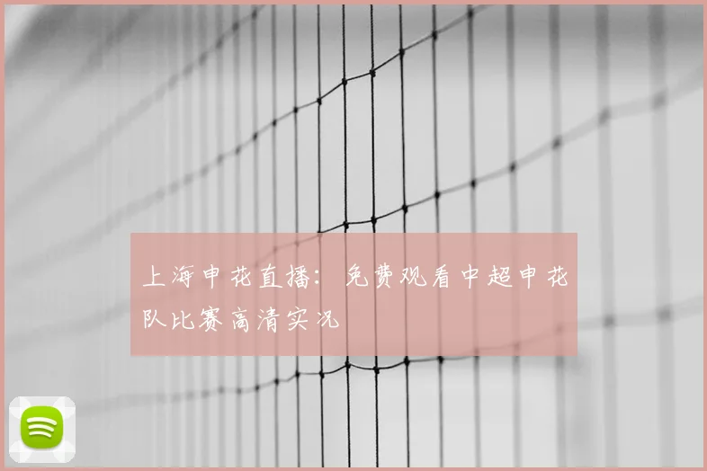 上海申花直播：免费观看中超申花队比赛高清实况